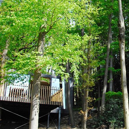 Gite Des Bois De Spa Ngoại thất bức ảnh