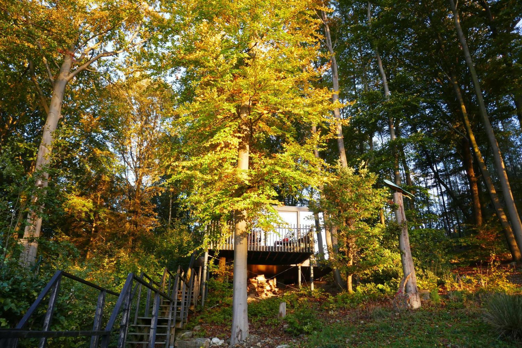 Gite Des Bois De Spa Ngoại thất bức ảnh