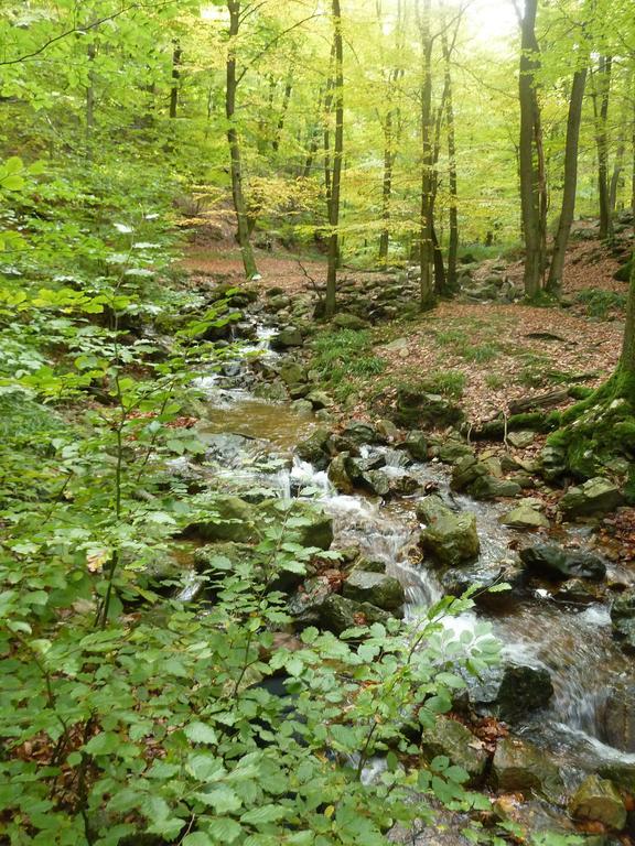 Gite Des Bois De Spa Ngoại thất bức ảnh