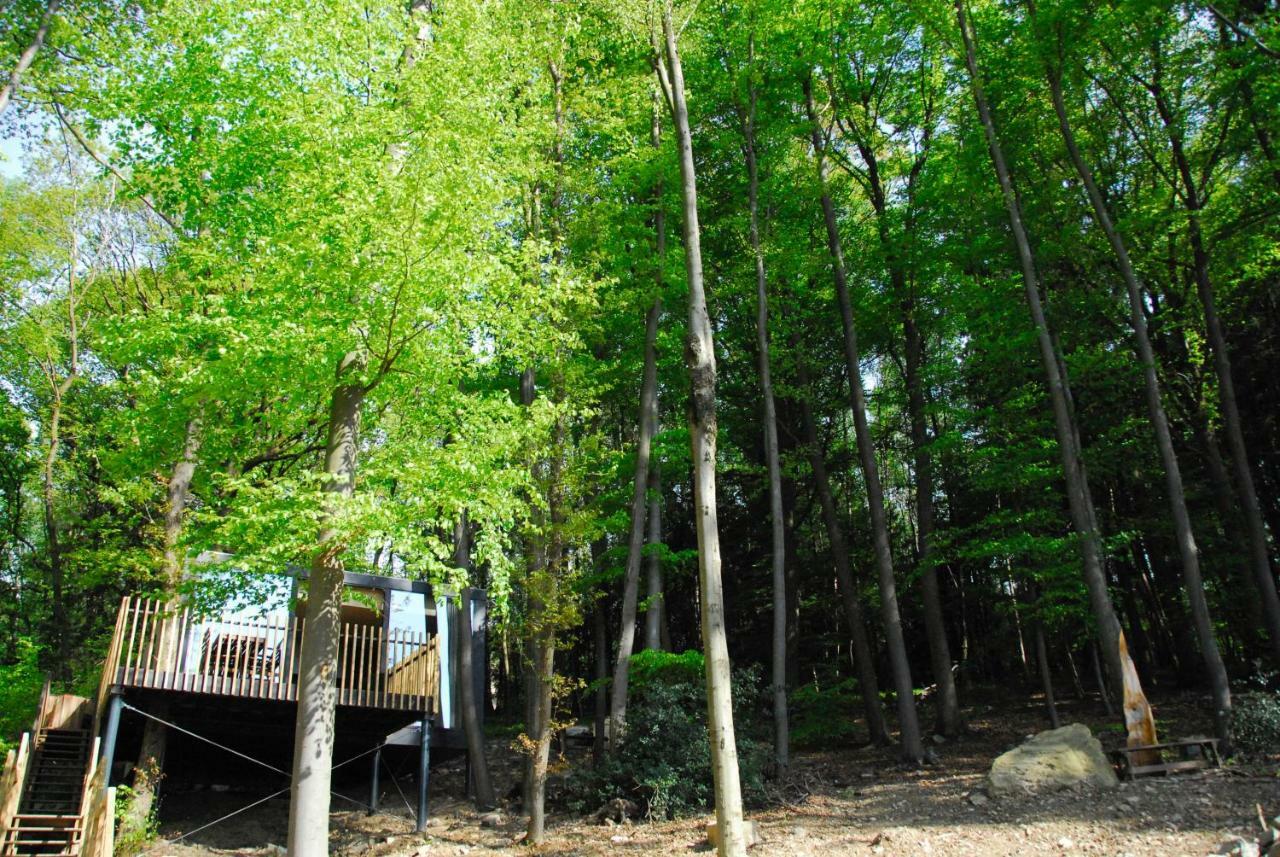 Gite Des Bois De Spa Ngoại thất bức ảnh